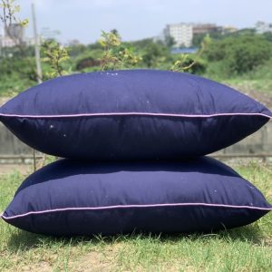 ২টি বালিশ