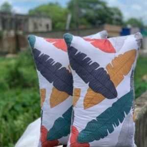 ২টি বালিশ