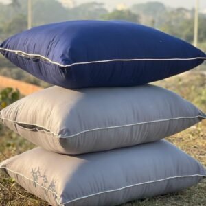 ৩টি বালিশ